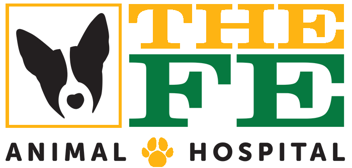 1The Fe Animal Hospital logo final