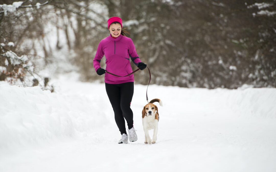 Winter Pet Safety: A Comprehensive Guide to Navigating January Hazards